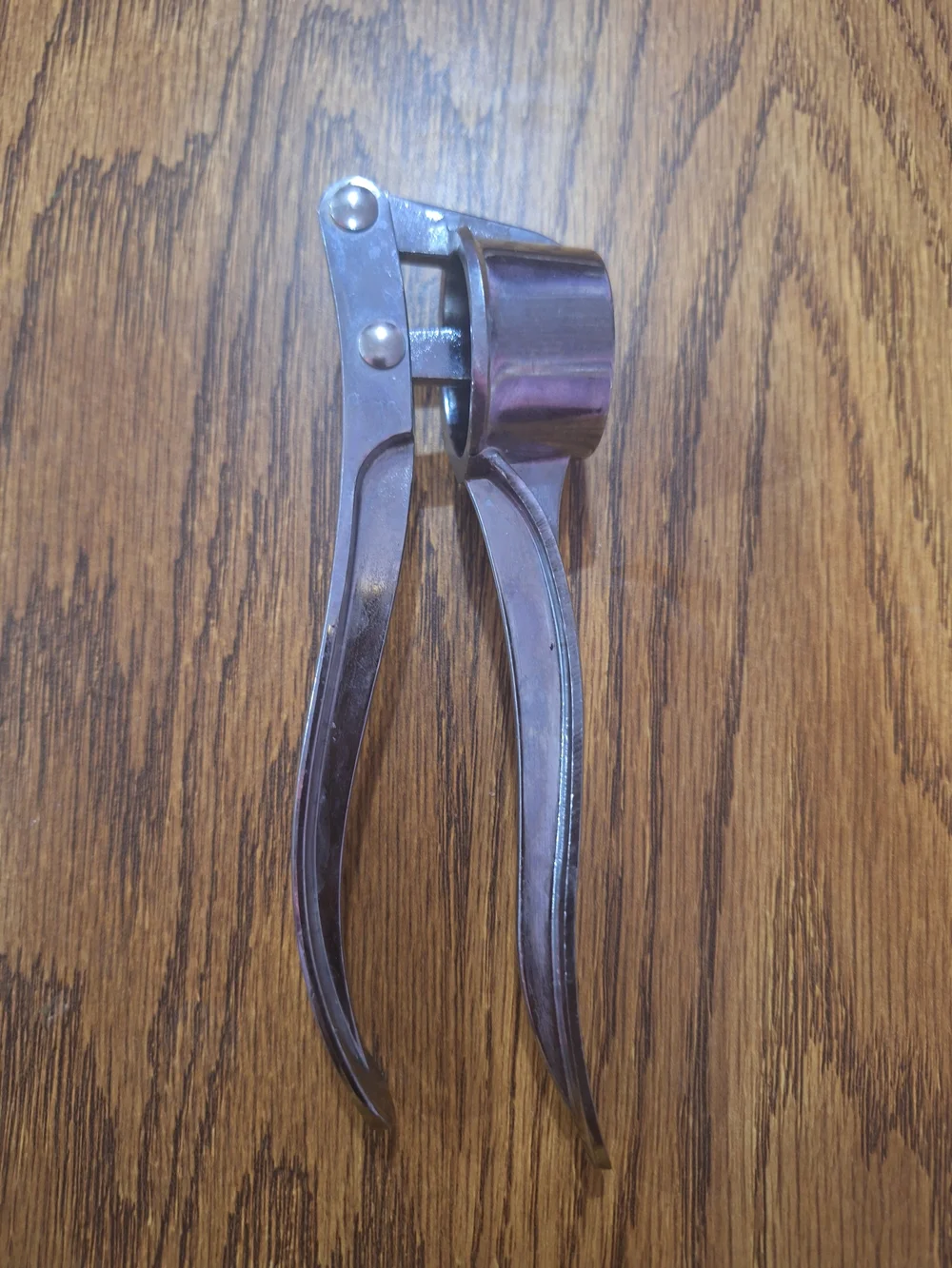 Stainless Steel Garlic Press - Silver